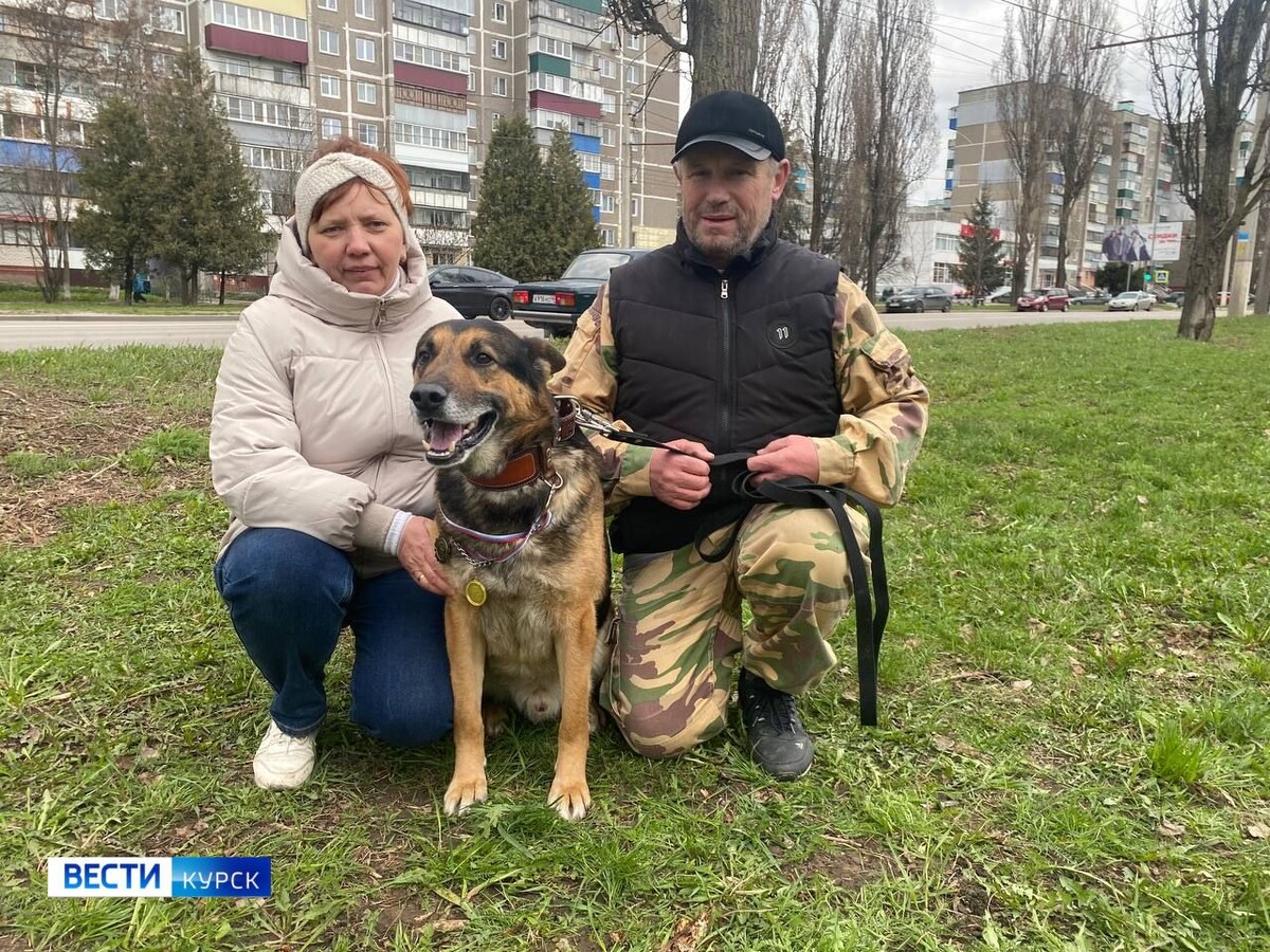    Курский Хатико дождался