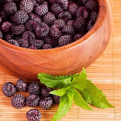 Изображение из статьи с сайта stroy-podskazka.ru