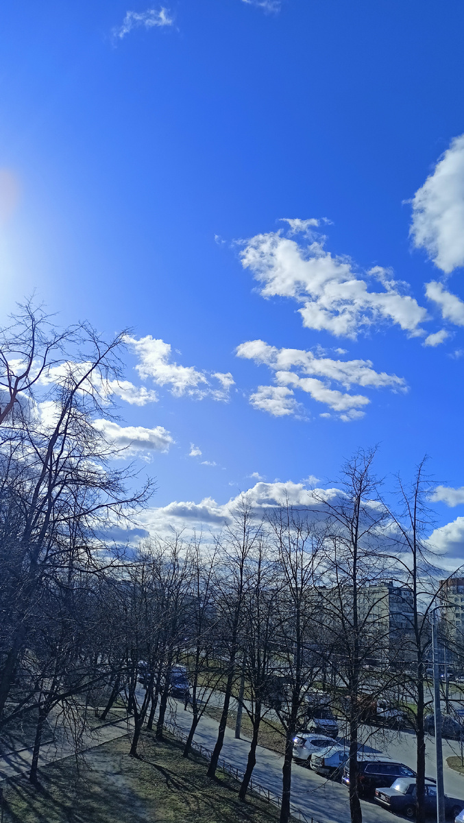 Фото автора. 16ч. СПб.