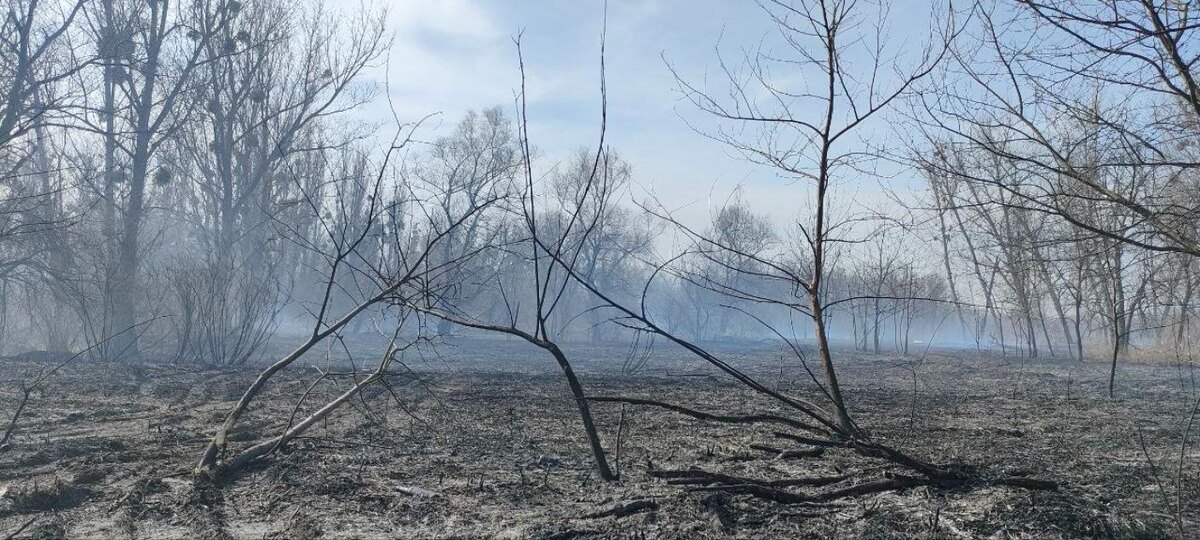 Фото: Утренний Юг
