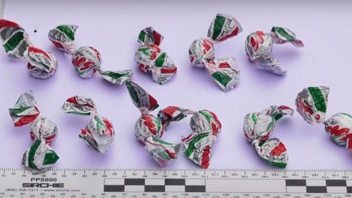 © Ministry of Internal Affairs of Georgia