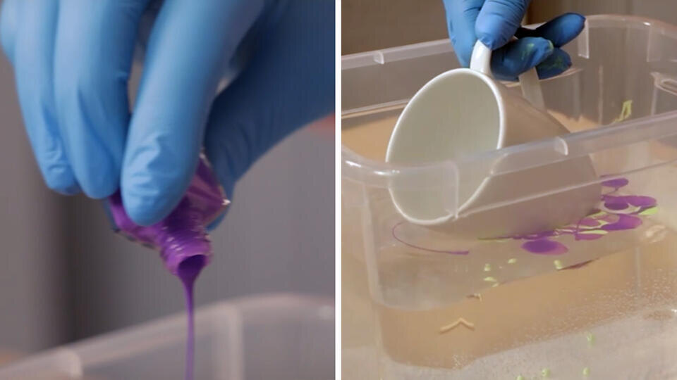 Фото: © Кадр из программы "Самая народная программа" , РЕН ТВ