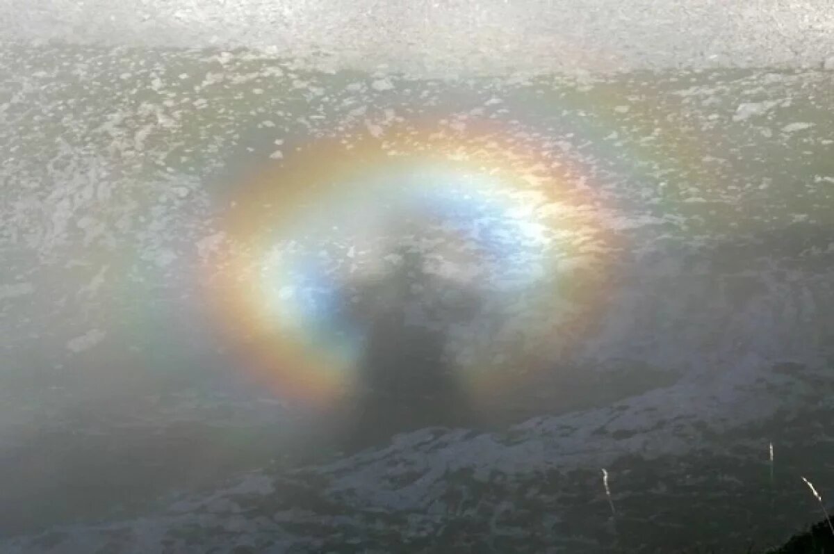    В Саратове заметили редкое появление брокенского призрака