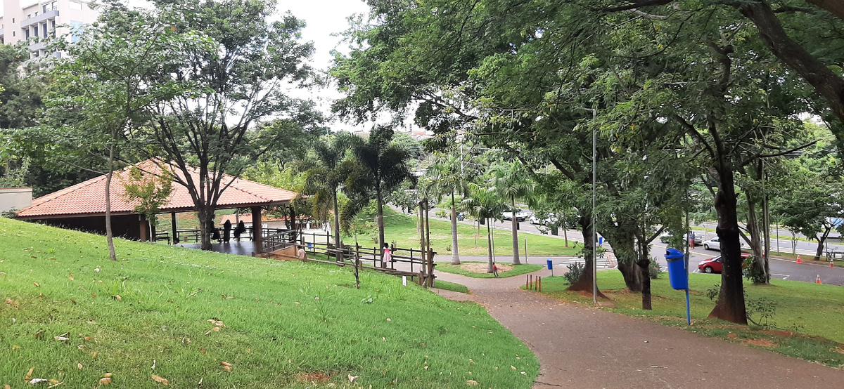 Город Кампинас, штат Сан-Паулу.