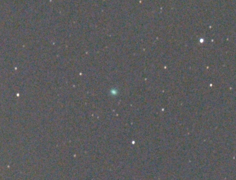    Наблюдатели из Карелии первыми в мире запечатлели вспышку новой кометыАстрономический клуб "Астерион" / Telegram