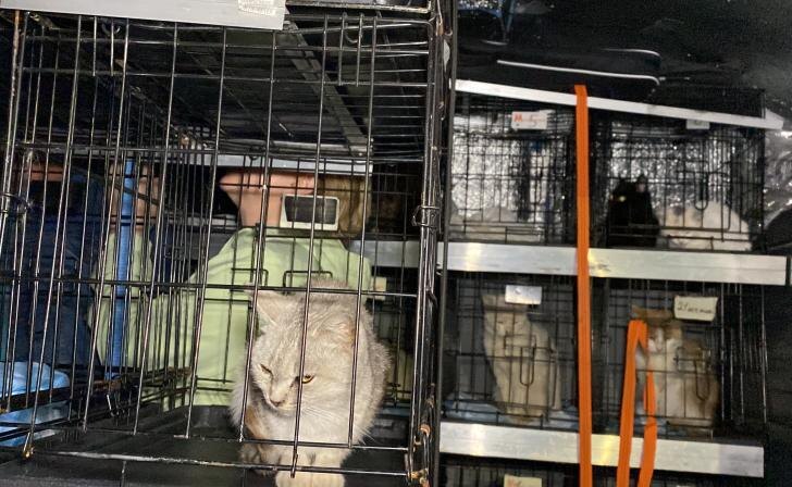    фото Курские известия