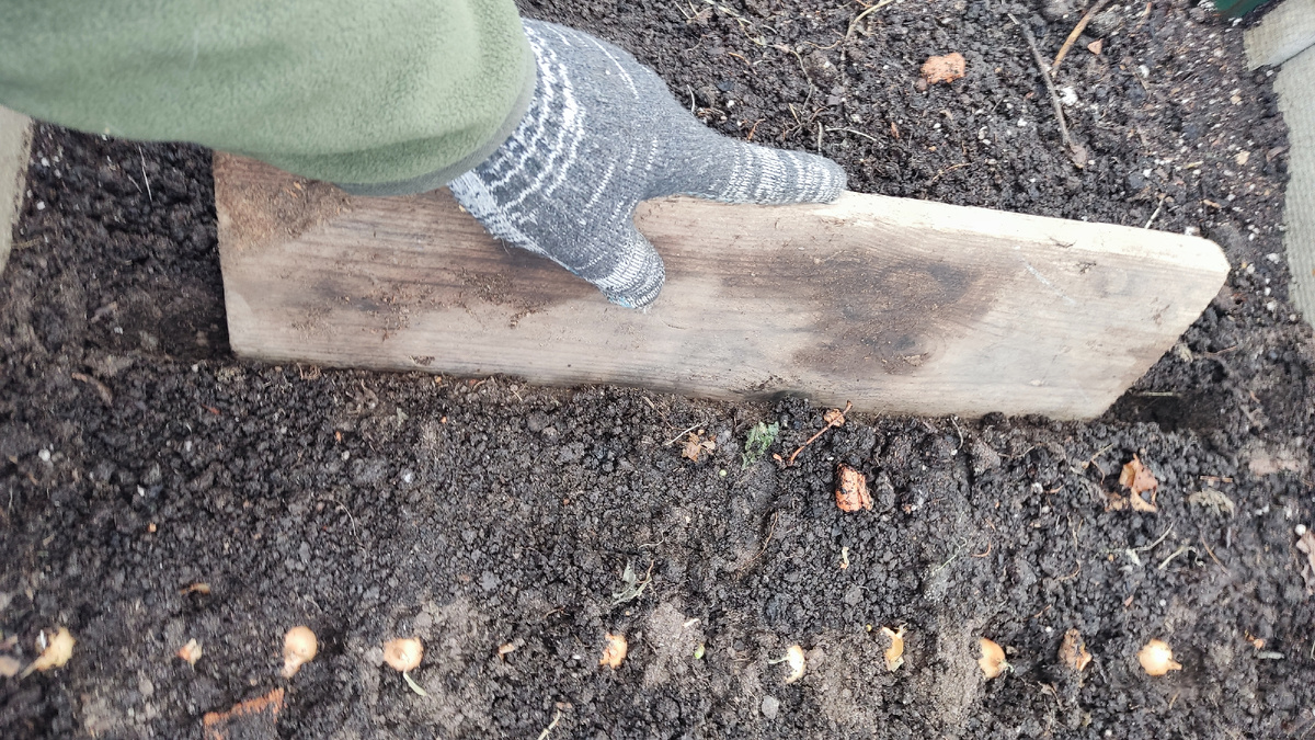 Для формирования посевных бороздок использовал небольшой отрезок старой доски (см. фото ниже)   