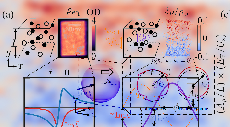   N + 1; Songtao Huang et al. / Physical Review X , 2025
