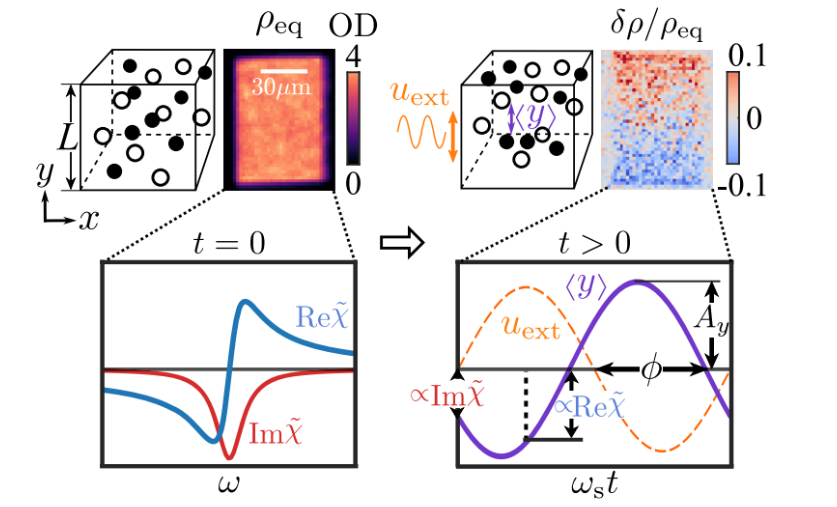   Songtao Huang et al. / Physical Review X , 2025