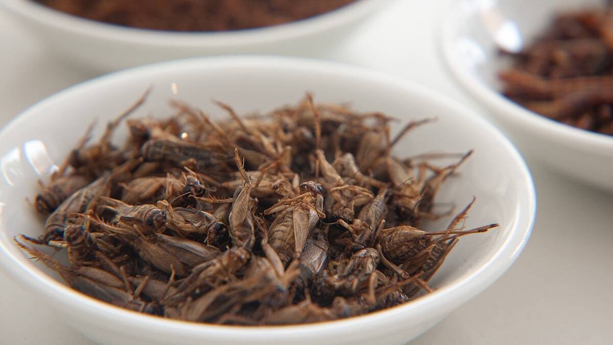    Фото: shutterstock