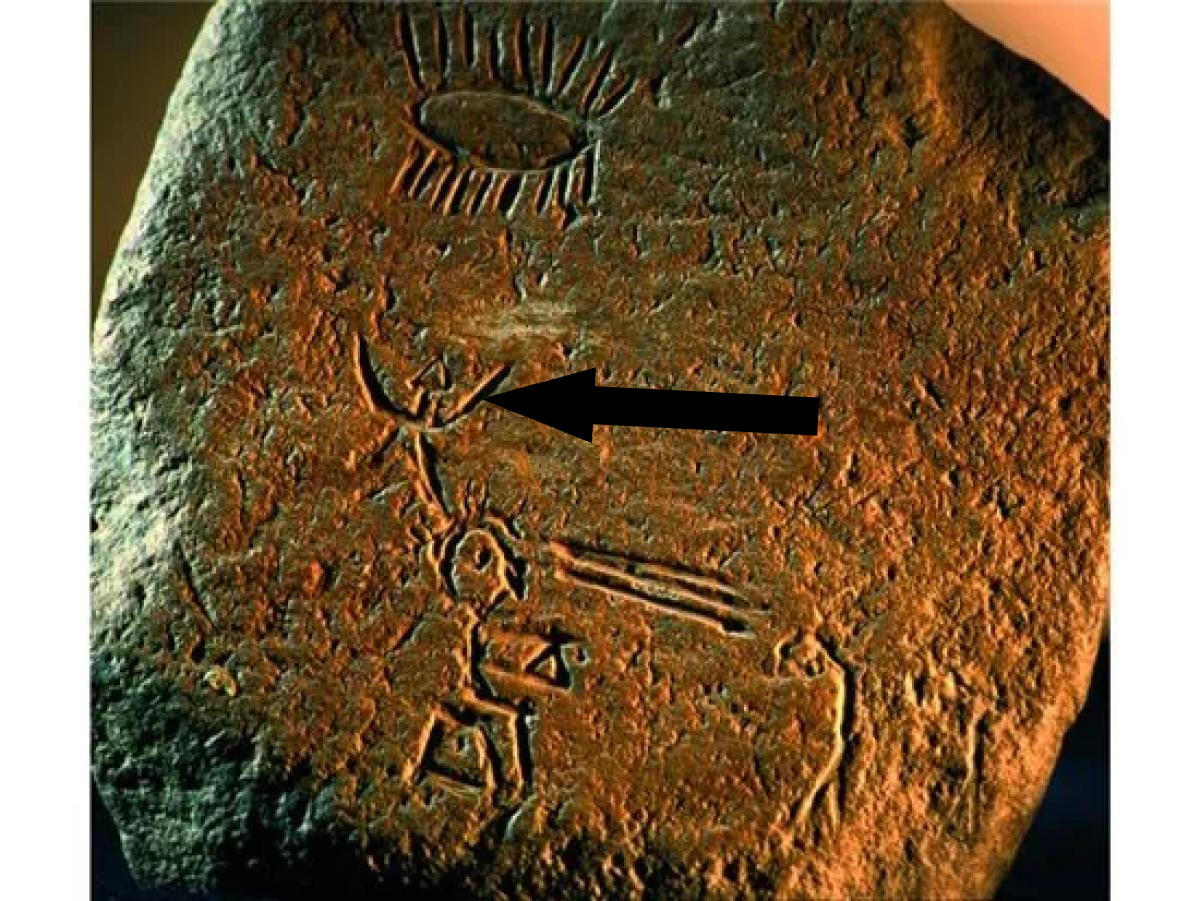    Тайна Туле раскрыта арктические секреты древней цивилизации