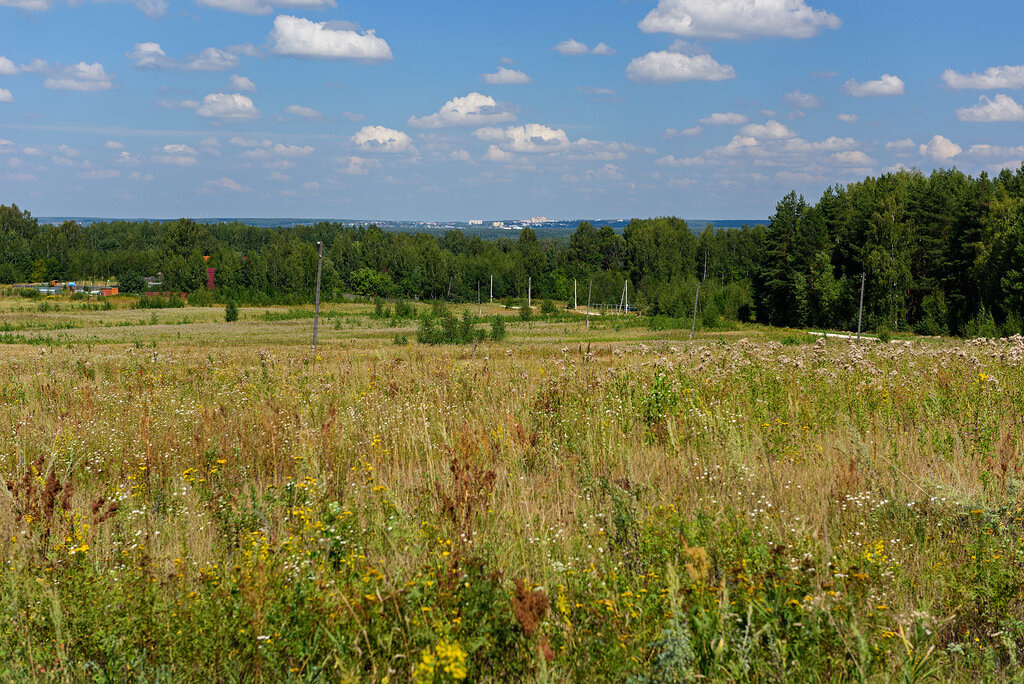 Из последнего сюда добираться проще — всего час пути по трассе 22К-0125 до села Новосёлки, а оттуда на север в сторону Оки по грунтовке.