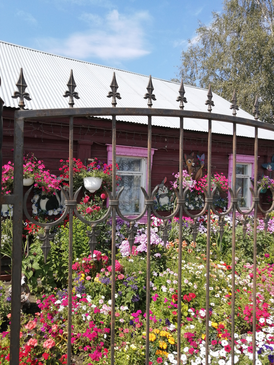 Палисадник за забором. Цветочное оформление