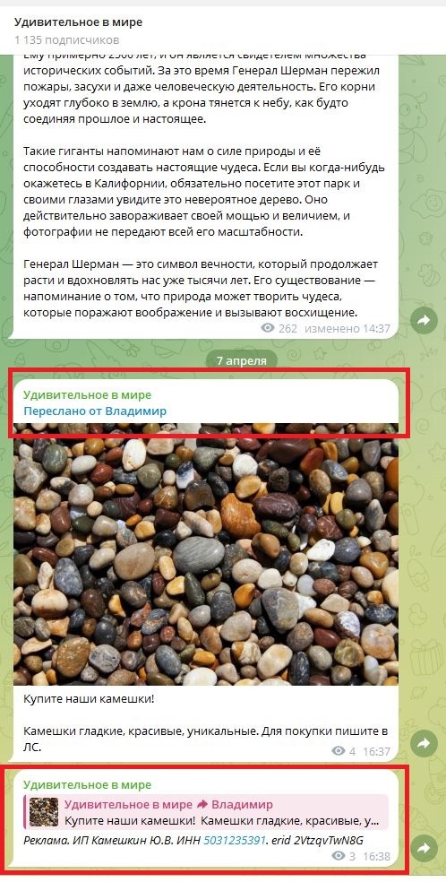 Пример маркировки рекламного репоста в Телеграм.