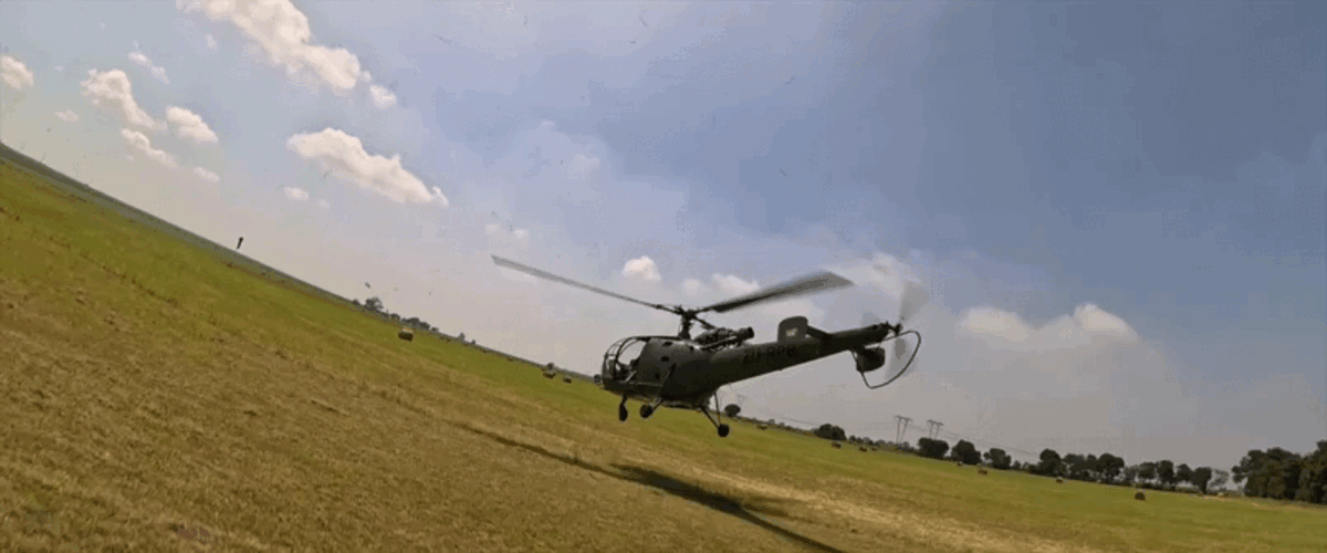 Как вам француз?