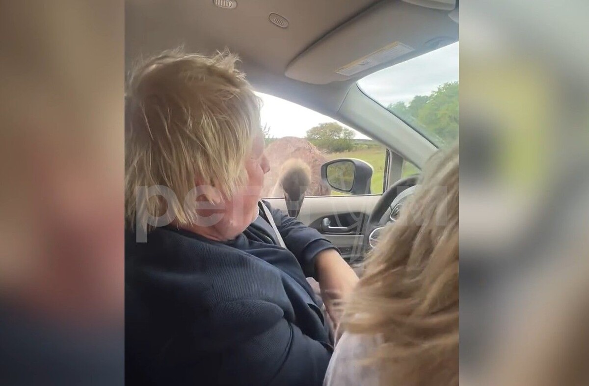     / Источник: Кадр из видео