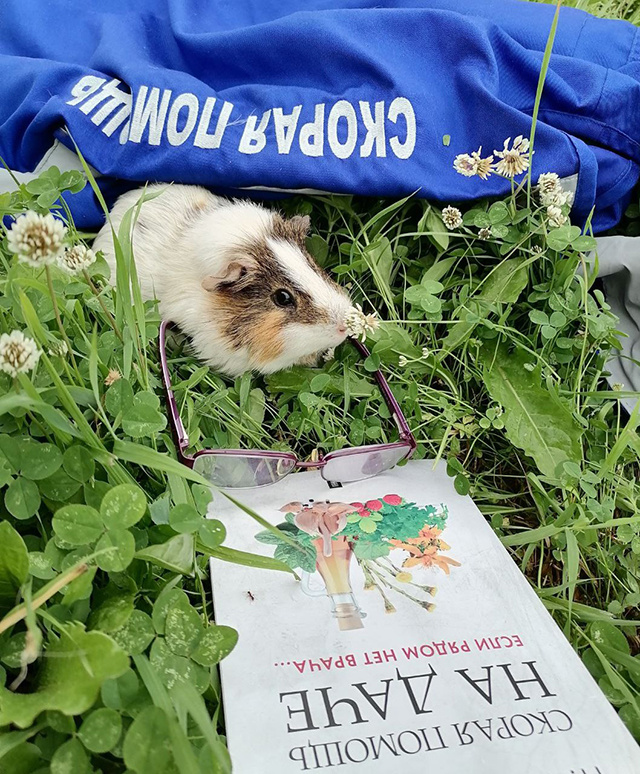 В два с лишним раза чаще выезжала тверская скорая на пожары за последнюю неделю