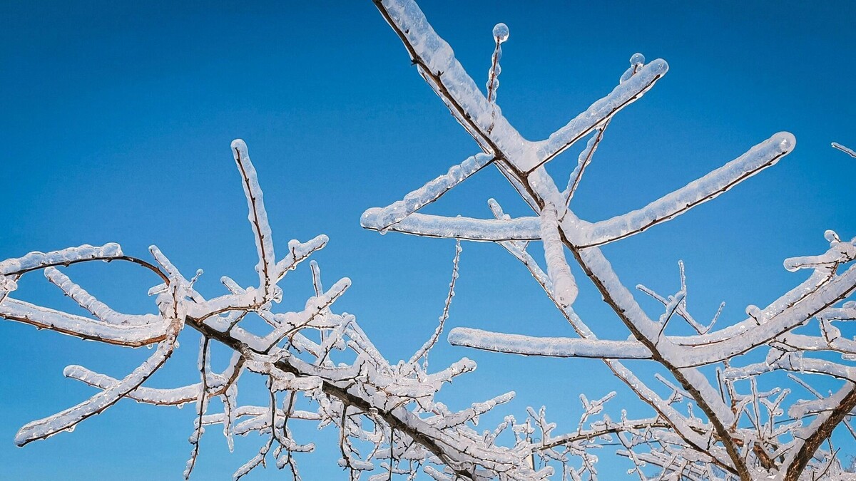     Источник: 1MI