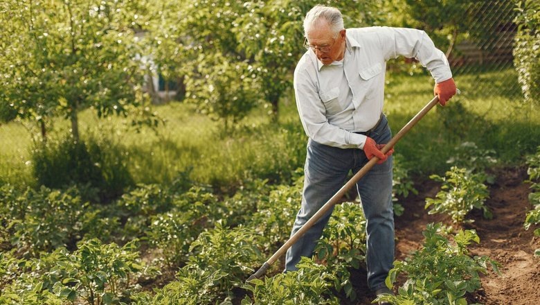 Источник: Freepik