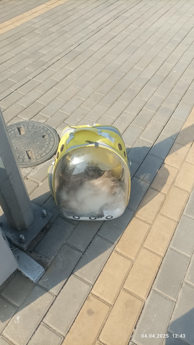 Марио готовится ехать в Чаплыгин