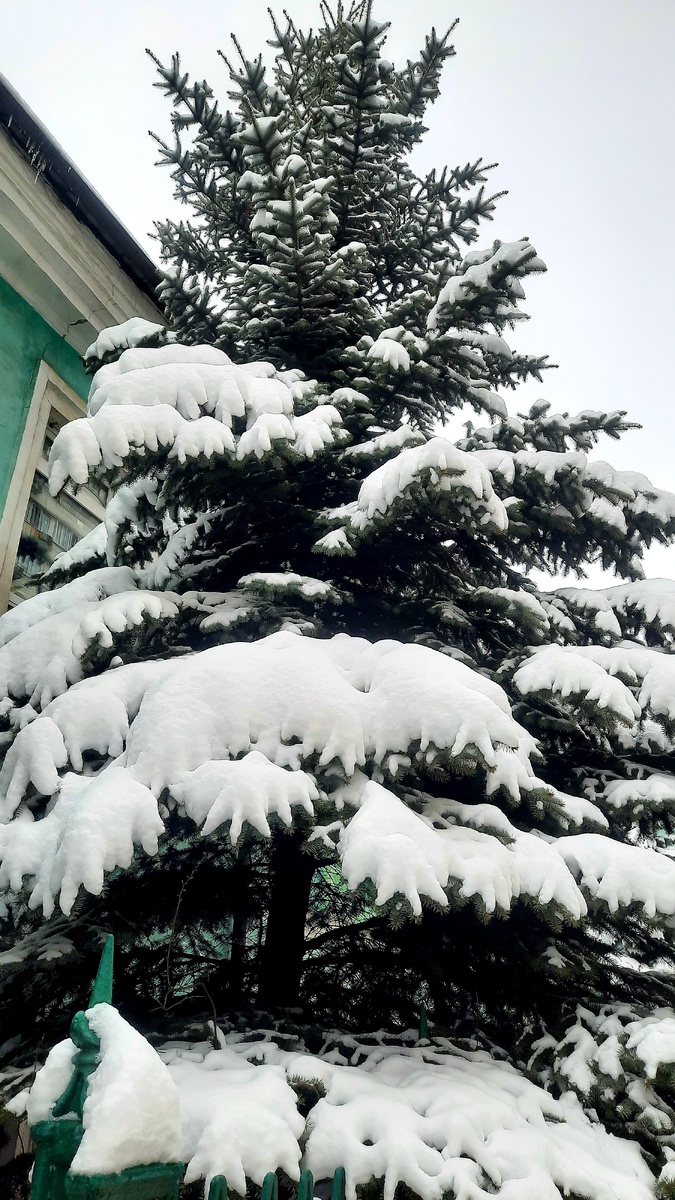 Фото автора.