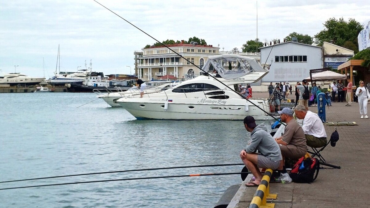     Автор: KubanPress