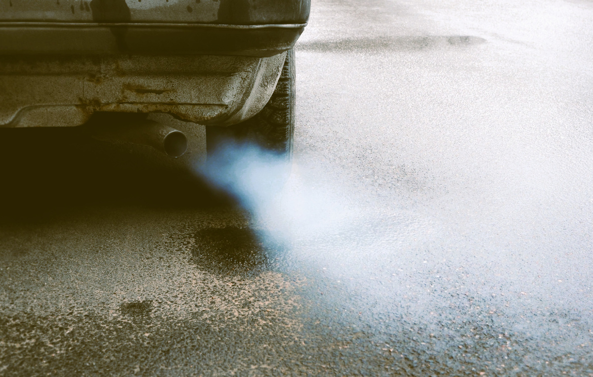 Источник Яндекс Картинки