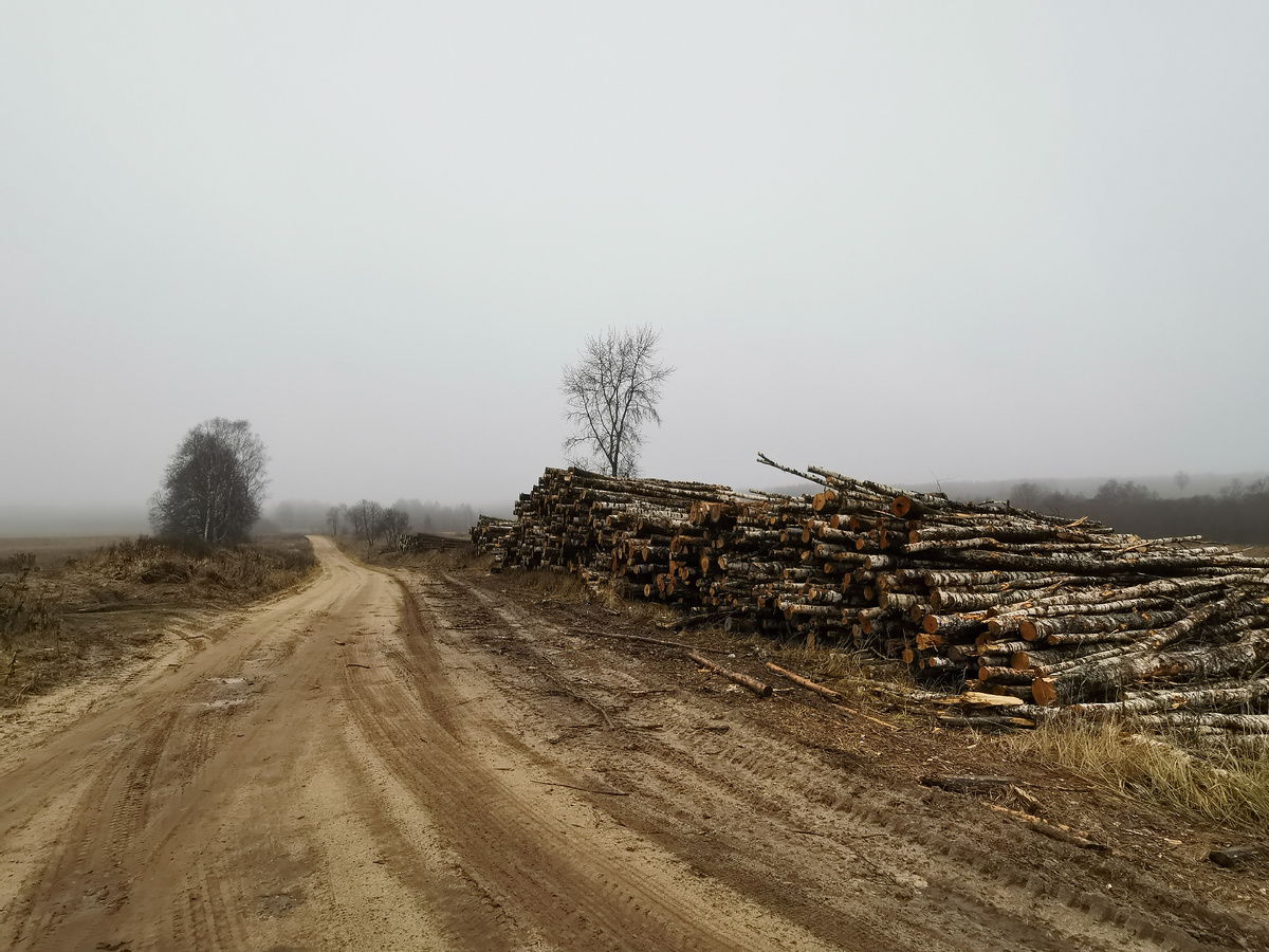 Смоленщина