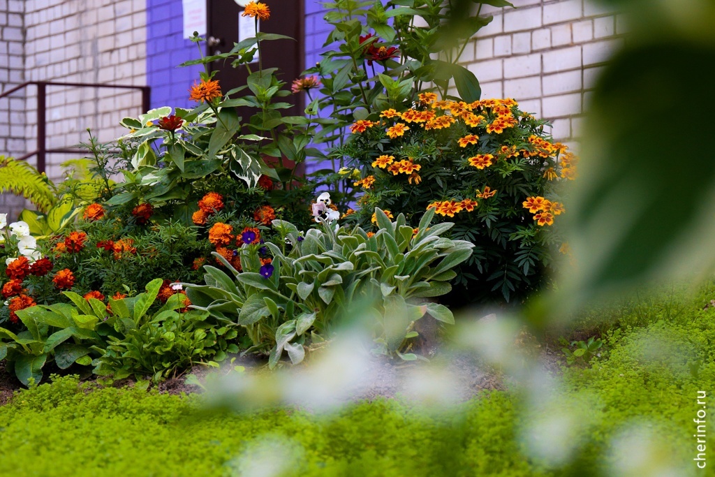    В конкурсе больше 20 номинаций, участвовать могут жители домов, предприятия, учреждения, организации, школы и детсады