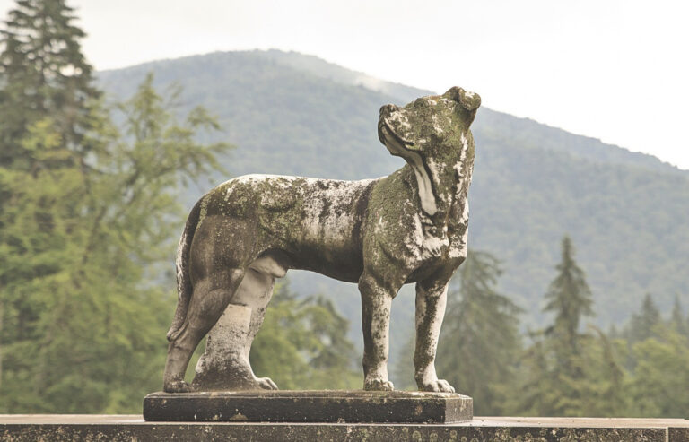    Фото: freepik.com/creativepack Дмитрий Андреев