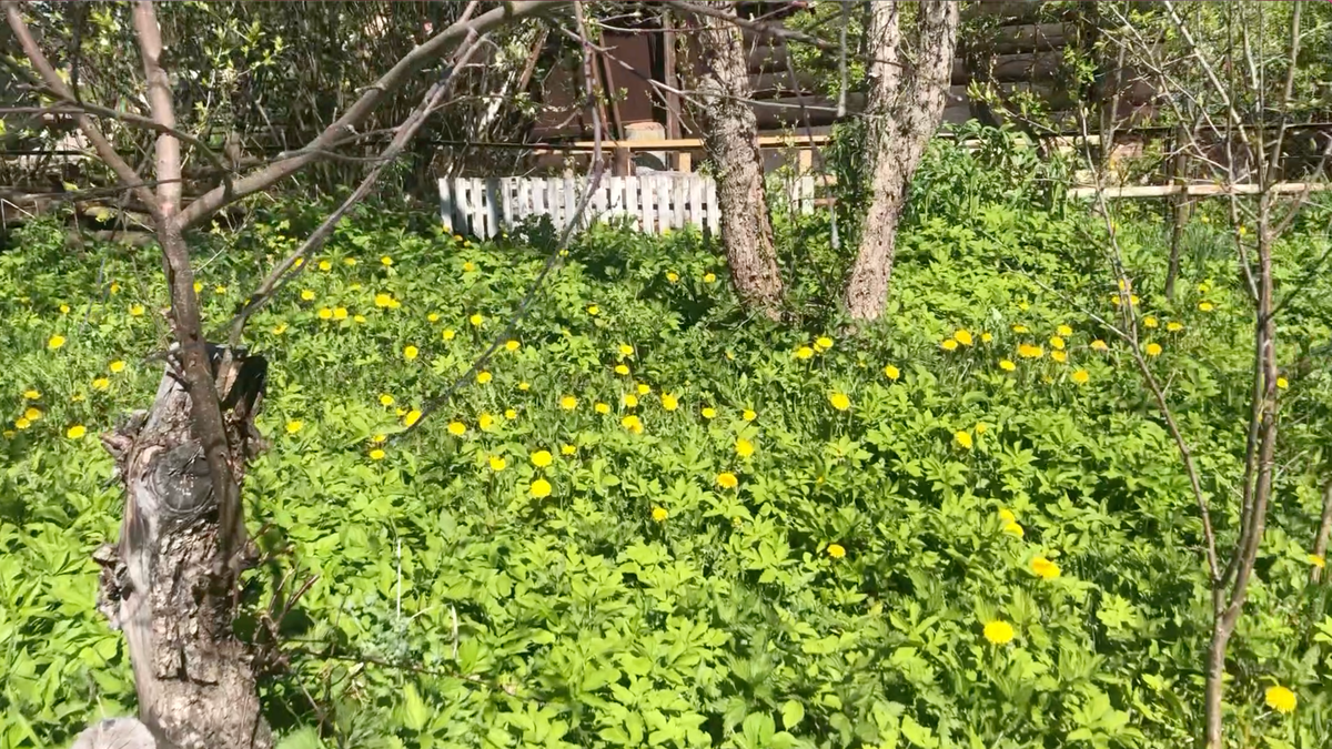 Дачный участок