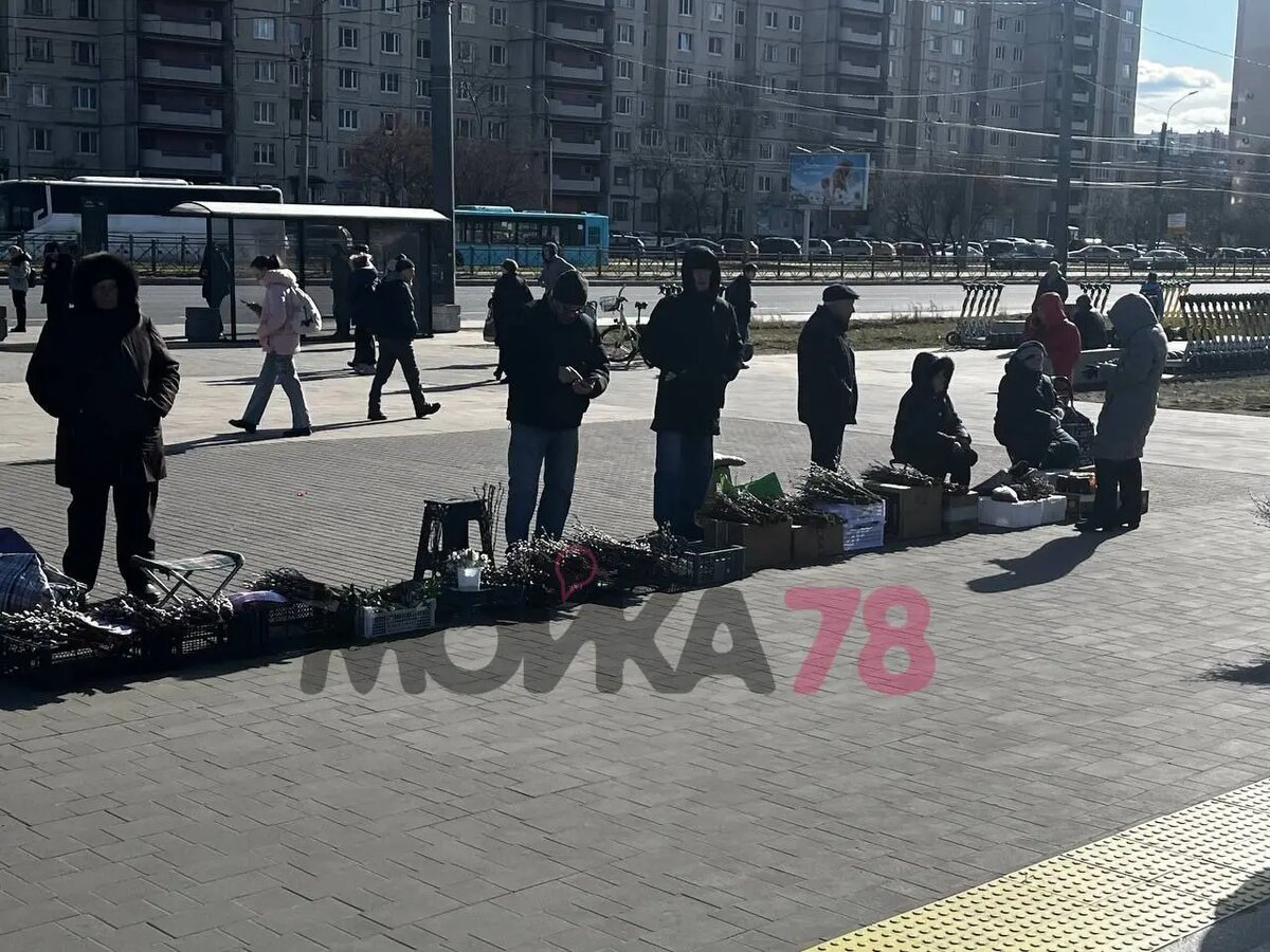    Фото: Мойка78