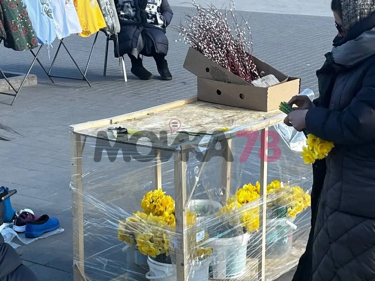    Фото: Мойка78