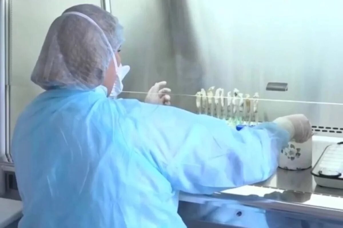    В Карачаево-Черкесии тубдиспансер переполнен заболевшими