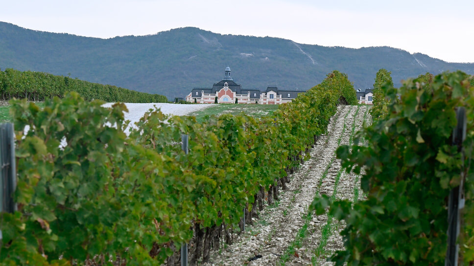 Фото: Ирина Бужор / Коммерсантъ