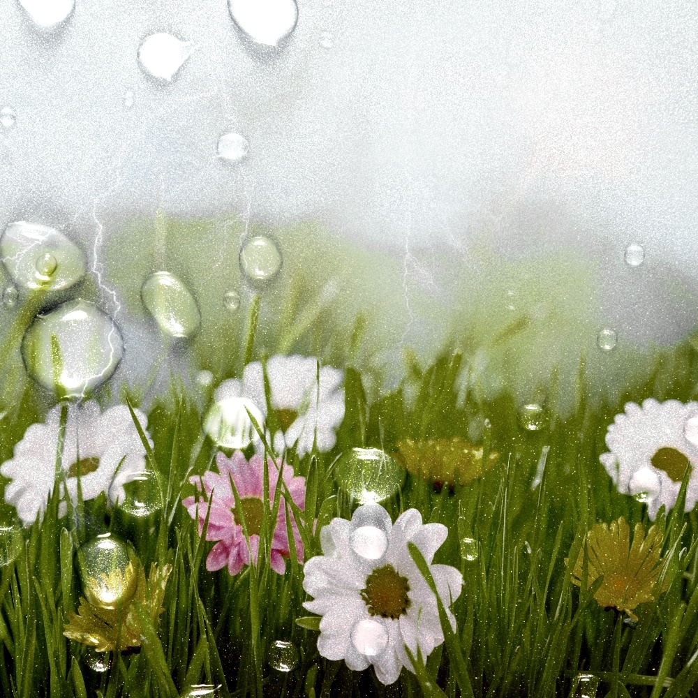 Фоторедактор