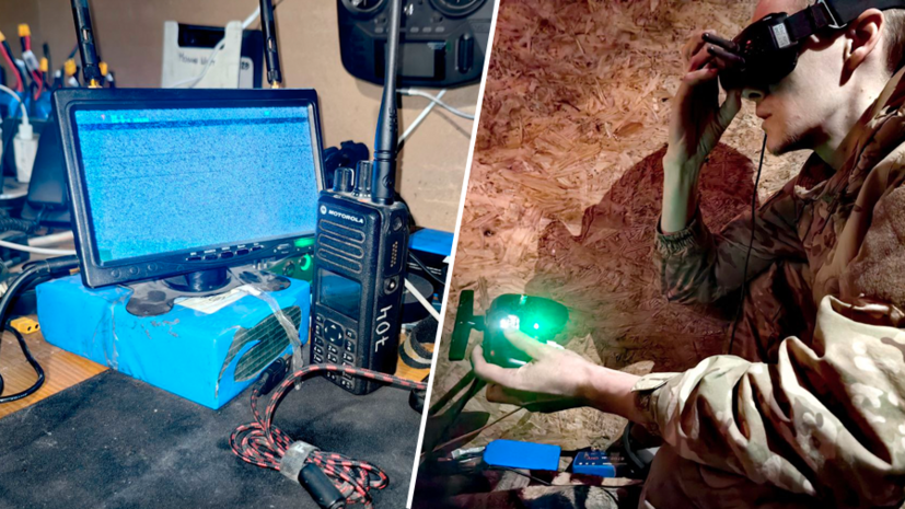    Анна Долгарева