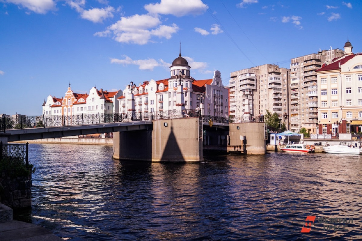 Событие объединило 100 добровольцев из 47 регионов РФ и двух стран.  Фото: Фото: ФедералПресс / Софья Синенко