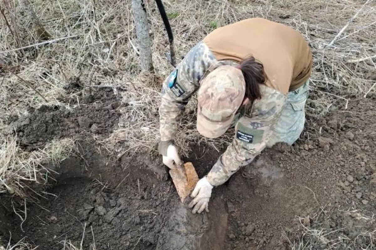    В Тверской области нашли останки пяти красноармейцев, ложку и гильзу
