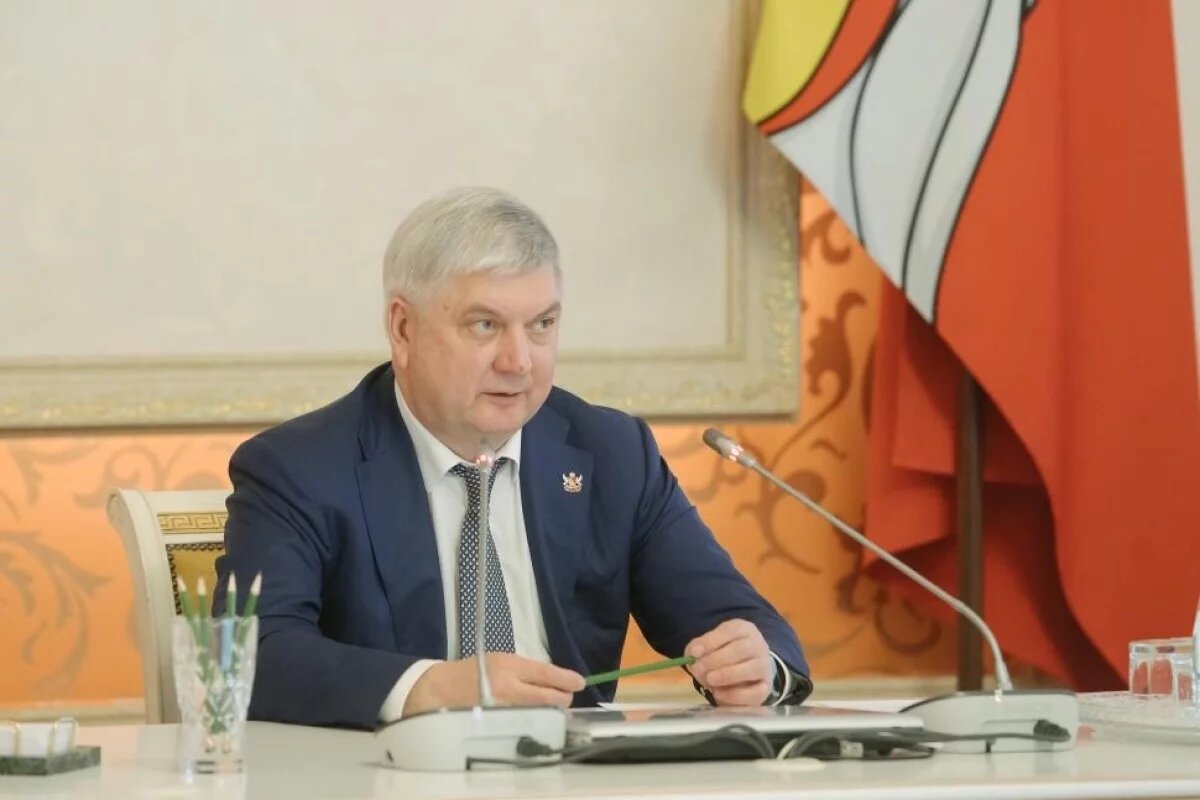    Сумма штрафов за неоплату парковки в Воронеже превысила 247 млн рублей