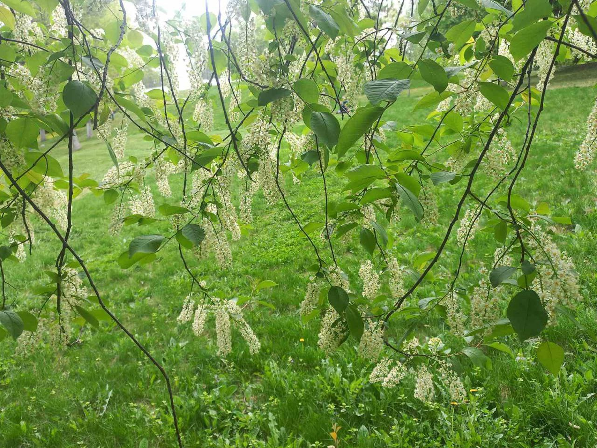 Фото автора.