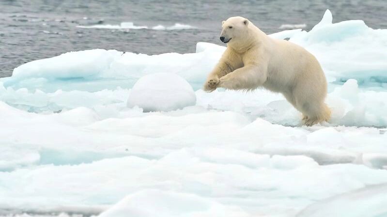    Фото: FloridaStock/Shutterstock/Fotodom