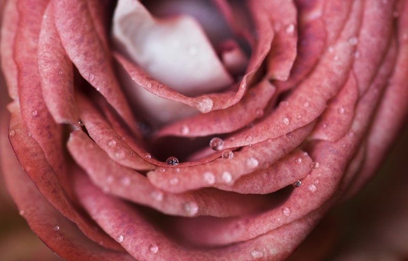    Фото: rawpixel.com/Freepik