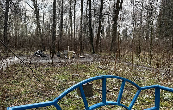 Фото: Тульская служба новостей