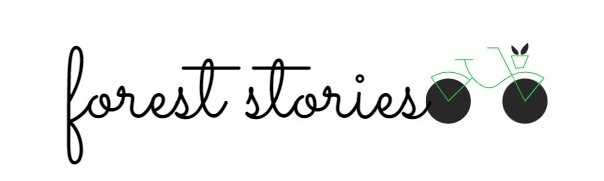 Ждем Вас в нашем магазине forest stories: https://www.wildberries.ru/brands/312067795-forest-stories