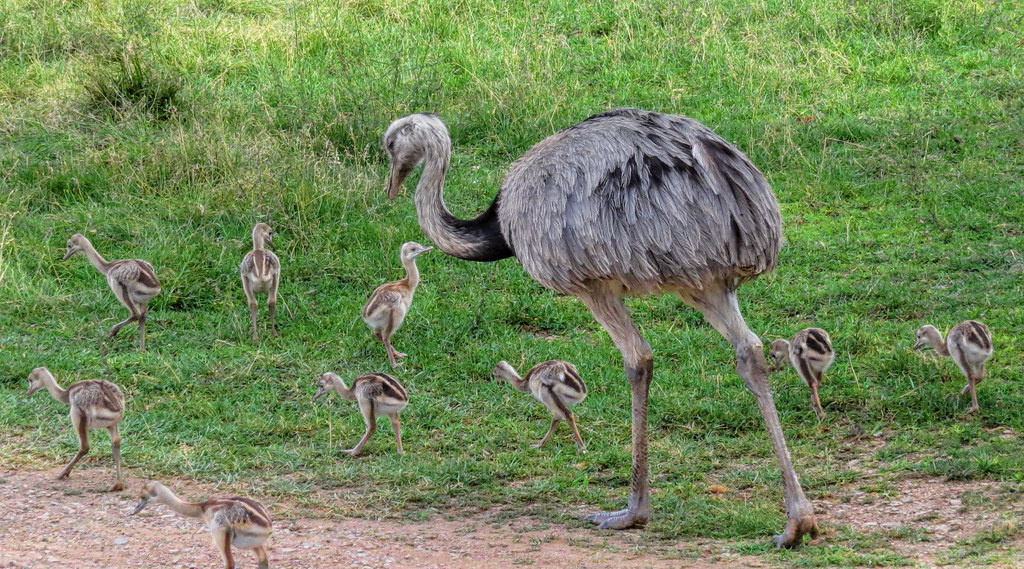 Фото взято из открытого источника Яндекс Картинки.