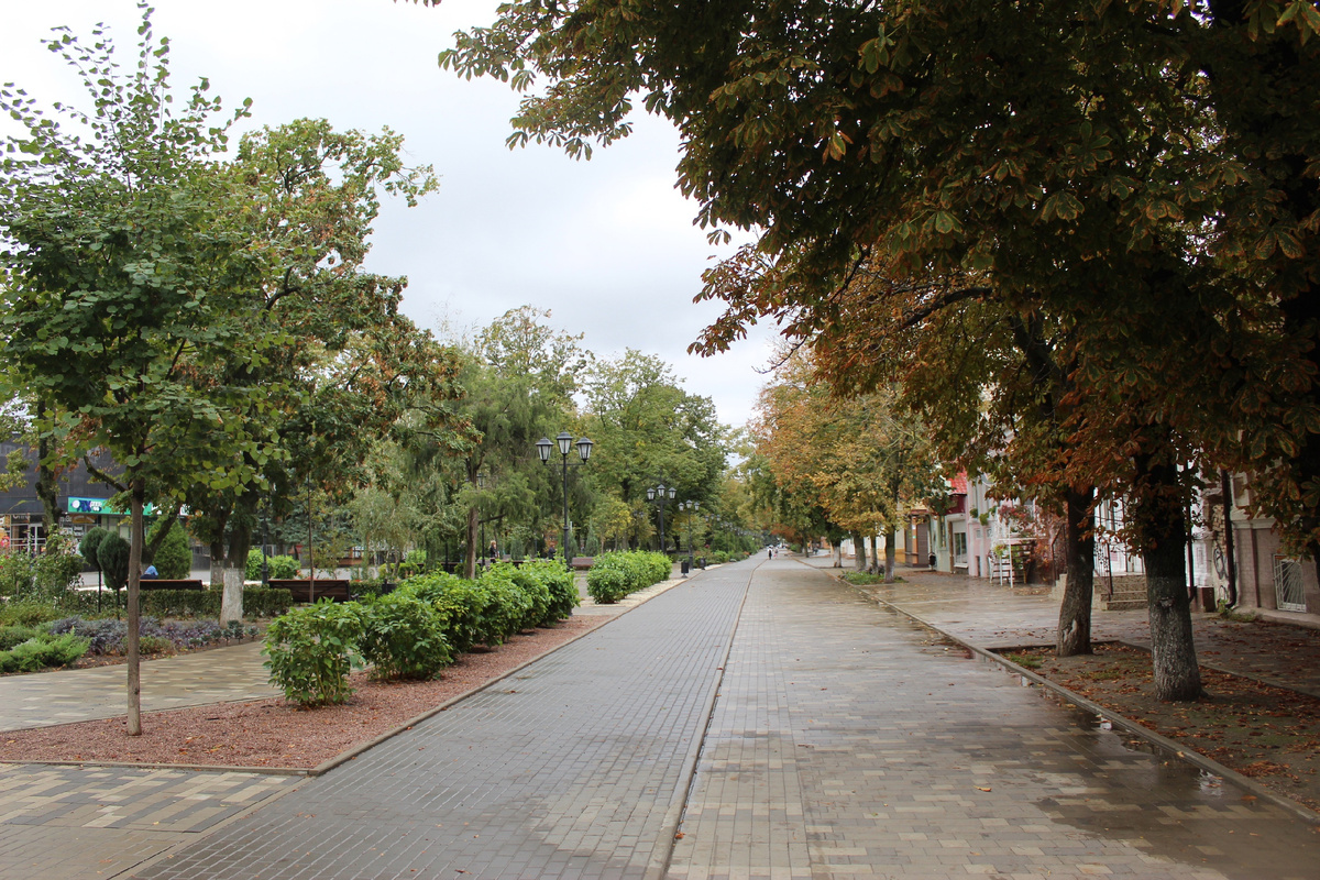 2024 г., фото автора