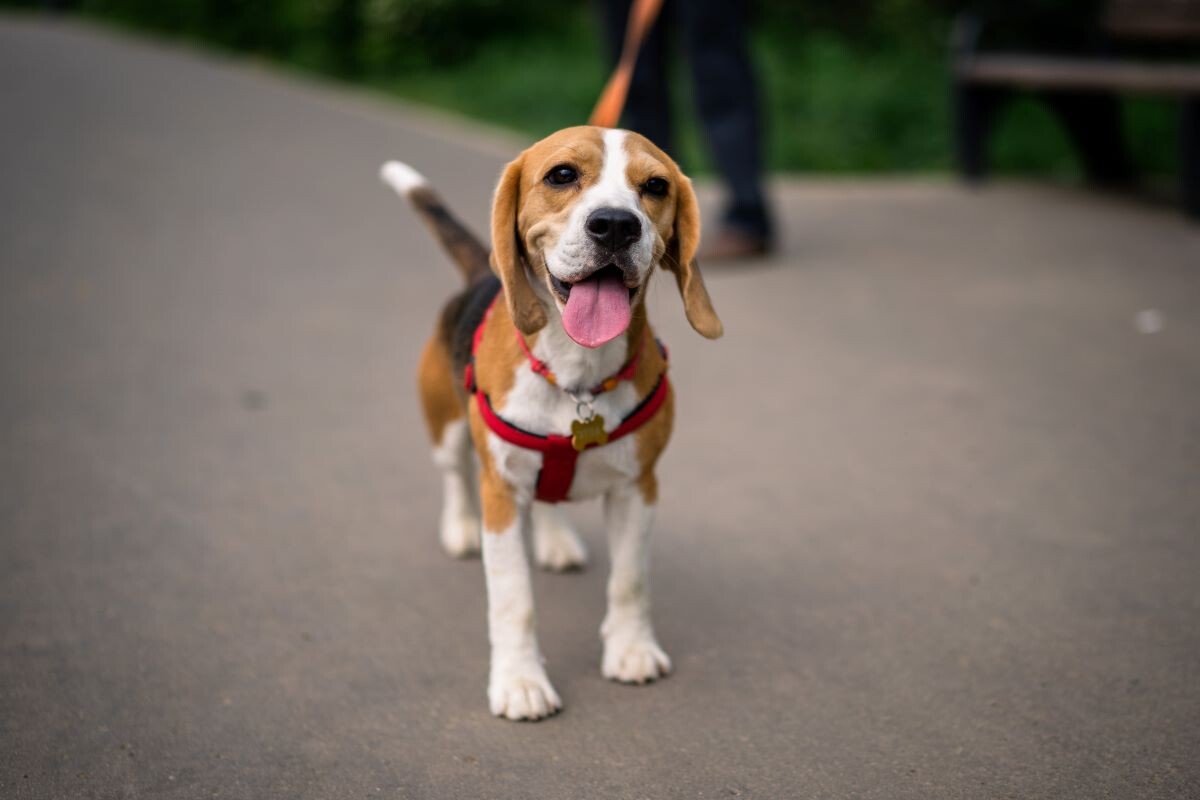 Фото: Александр Плонский / «ВиЖ»