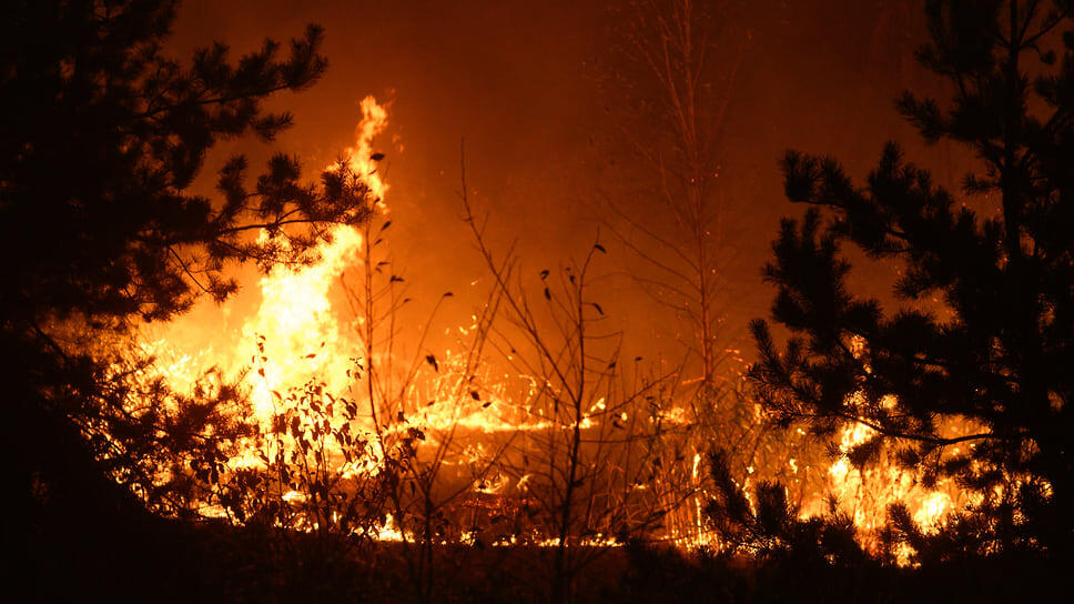 Фото: Олег Харсеев / Коммерсантъ