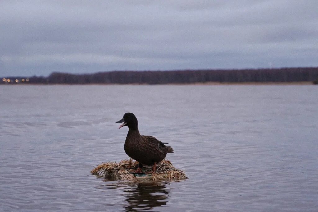    ФОТО: Александра Глущенко